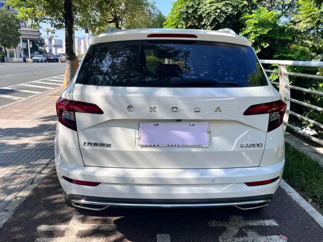 Skoda Karoq — Фото автомобиля 13