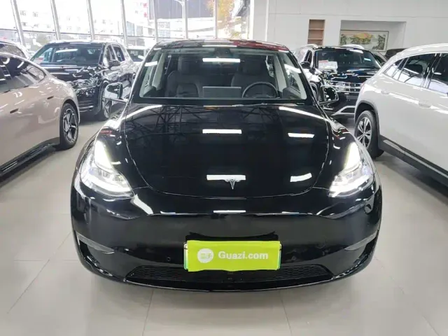 Tesla Model Y — Фото автомобиля 2