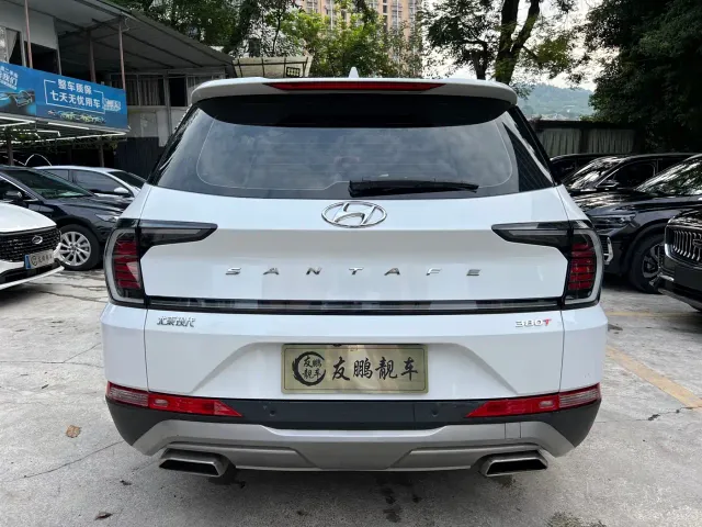Hyundai Santa Fe — Фото автомобиля 21