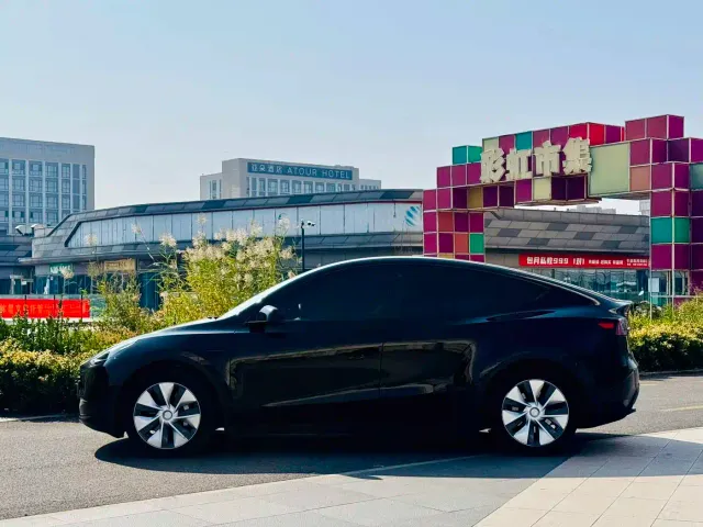 Tesla Model Y — Фото автомобиля 4