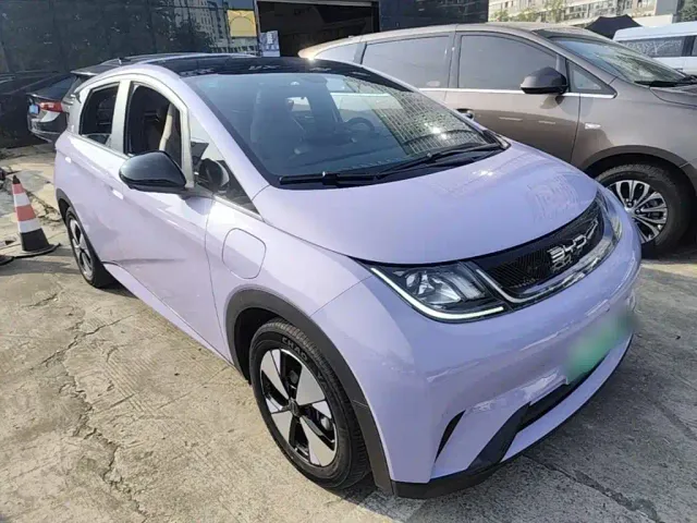 BYD Dolphin — Фото автомобиля 21