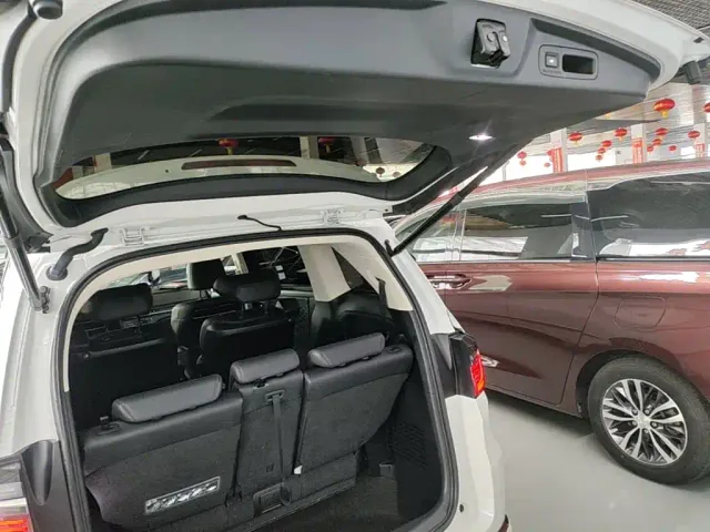 Honda Elysion — Фото автомобиля 18