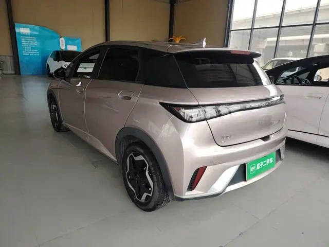 BYD Dolphin — Фото автомобиля 4