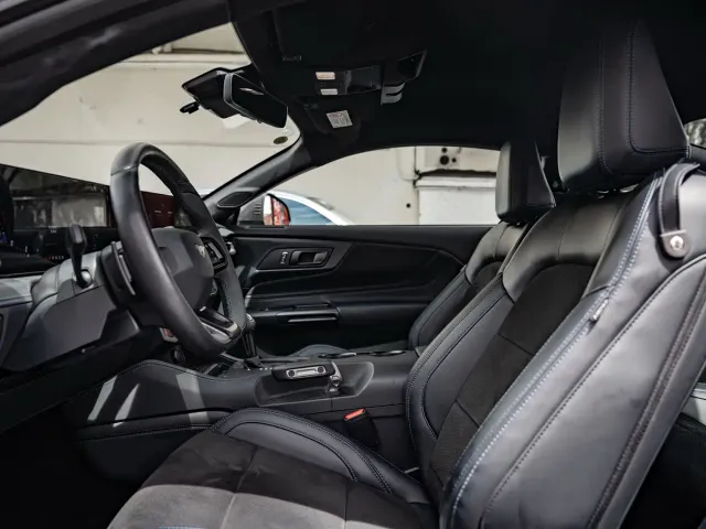 Ford Mustang — Фото автомобиля 18