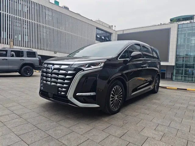 Фотография автомобиля — Denza D9