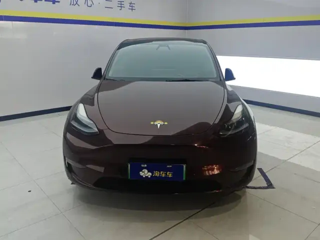 Tesla Model Y — Фото автомобиля 2