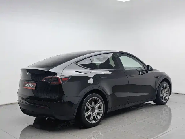 Tesla Model Y — Фото автомобиля 2