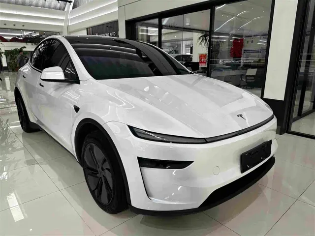 Tesla Model Y — Фото автомобиля 3