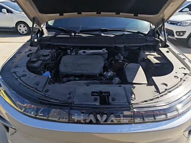 Haval Xiaolong MAX — Фото автомобиля 19