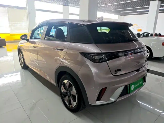 BYD Dolphin — Фото автомобиля 4