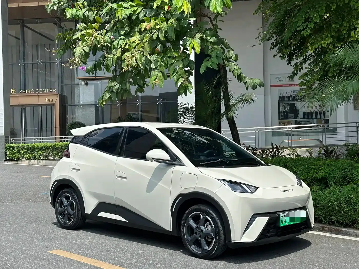 BYD Seagull 2023 Freedom Edition — Фото автомобиля 2