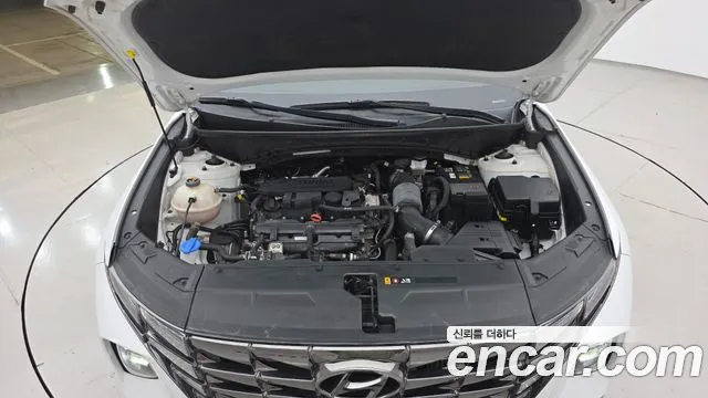 Hyundai Tucson Tucson (NX4) Бензин 1.6 турбо 2WD — Фото автомобиля 6