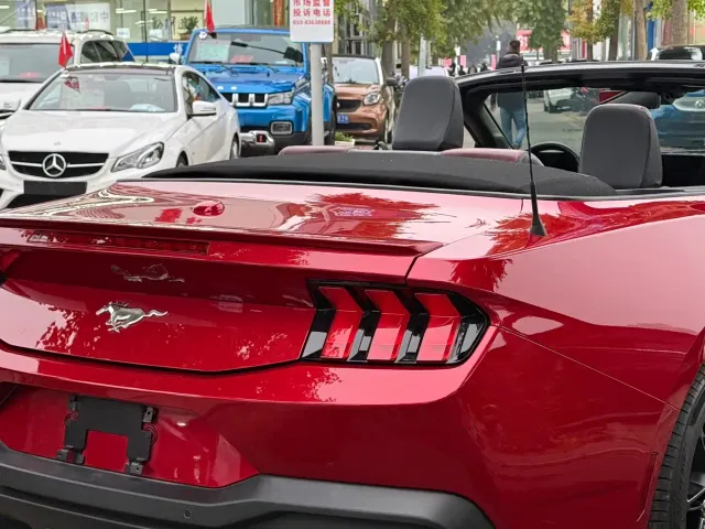 Ford Mustang — Фото автомобиля 5