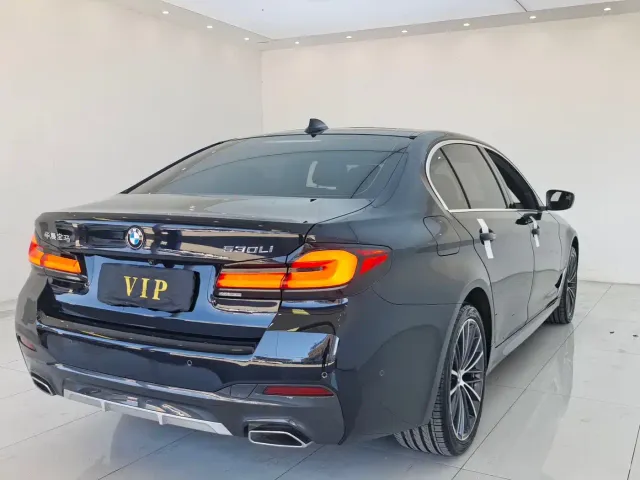 BMW 5 Series — Фото автомобиля 9