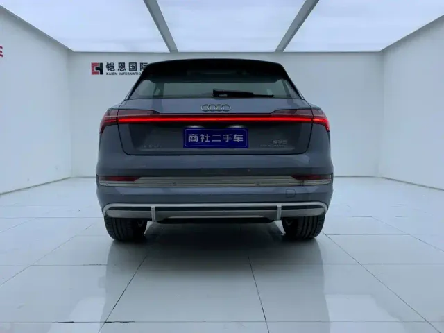 Audi e-tron — Фото автомобиля 5