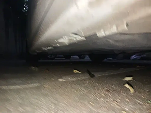 Honda Civic — Фото автомобиля 17