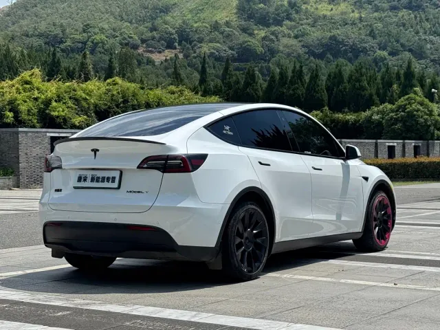 Tesla Model Y — Фото автомобиля 5