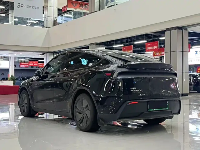 Tesla Model Y — Фото автомобиля 9