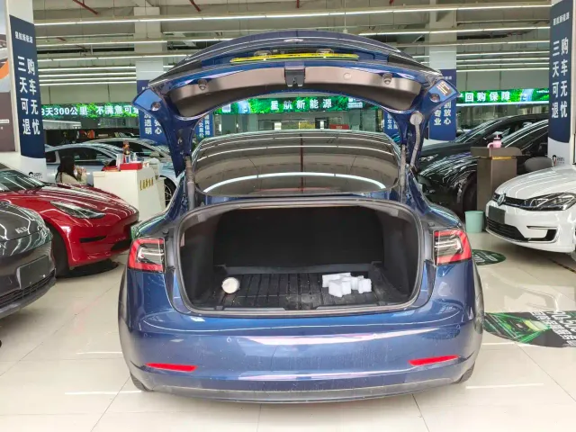 Tesla Model 3 — Фото автомобиля 5