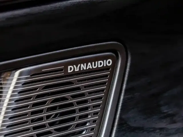 Denza D9 — Фото автомобиля 13