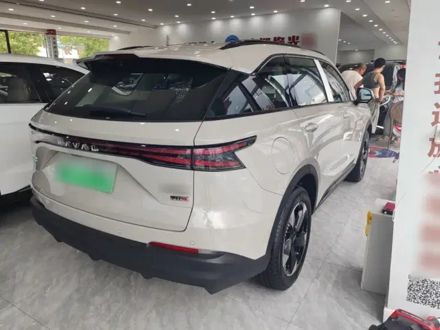 Haval Xiaolong MAX — Фото автомобиля 10