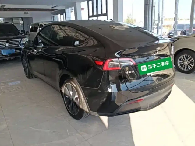 Tesla Model Y — Фото автомобиля 4