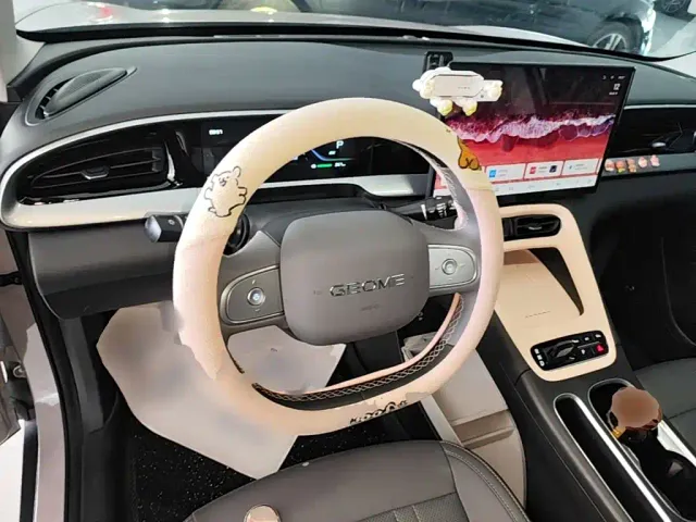 Geely Starry Wish — Фото автомобиля 10