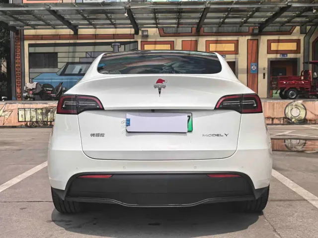 Tesla Model Y — Фото автомобиля 8