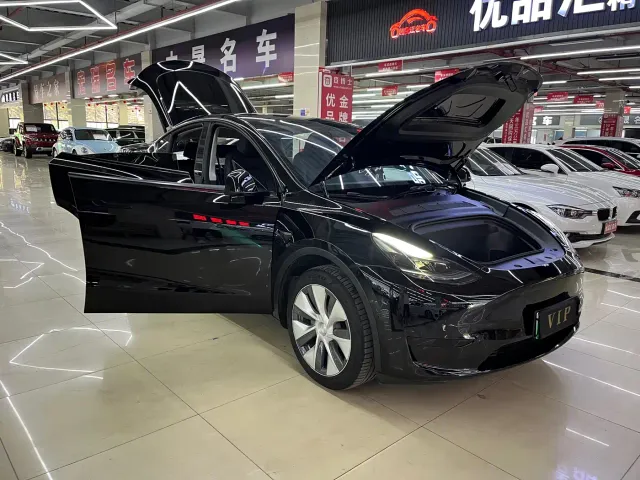 Tesla Model Y — Фото автомобиля 16