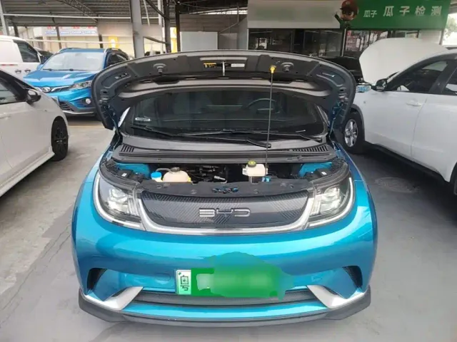 BYD Dolphin — Фото автомобиля 19