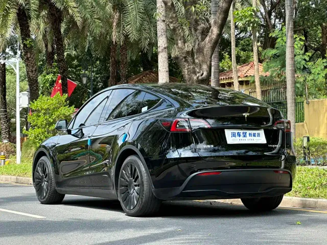 Tesla Model Y — Фото автомобиля 3