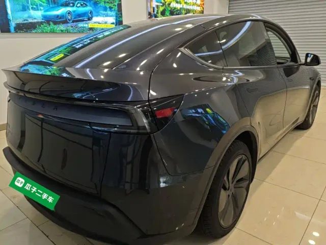 Tesla Model Y — Фото автомобиля 6