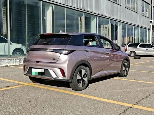 BYD Dolphin — Фото автомобиля 6