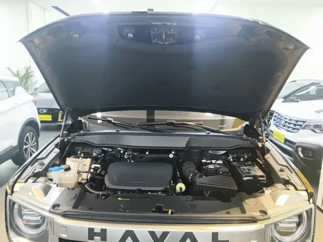 Haval Big Dog — Фото автомобиля 19