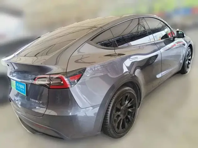 Tesla Model Y — Фото автомобиля 2