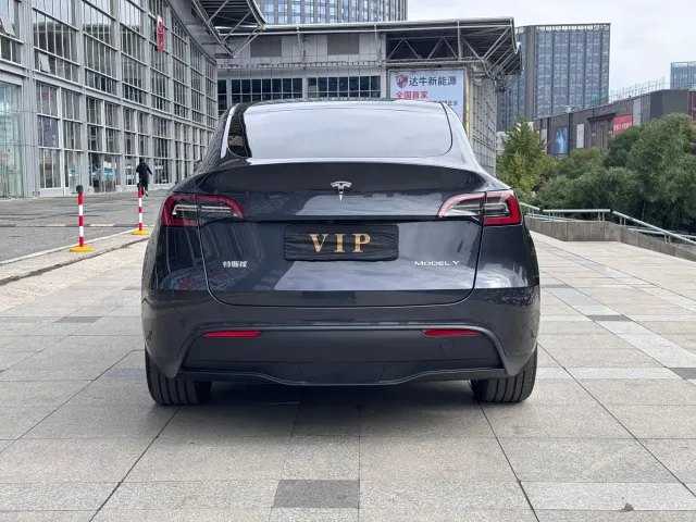Tesla Model Y — Фото автомобиля 8
