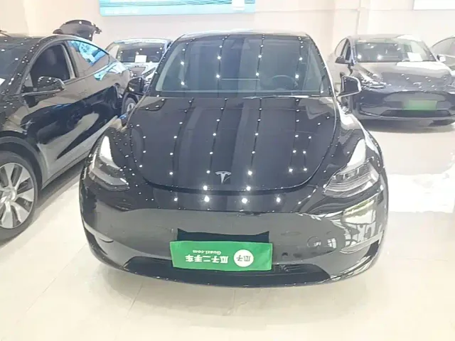 Tesla Model Y — Фото автомобиля 2
