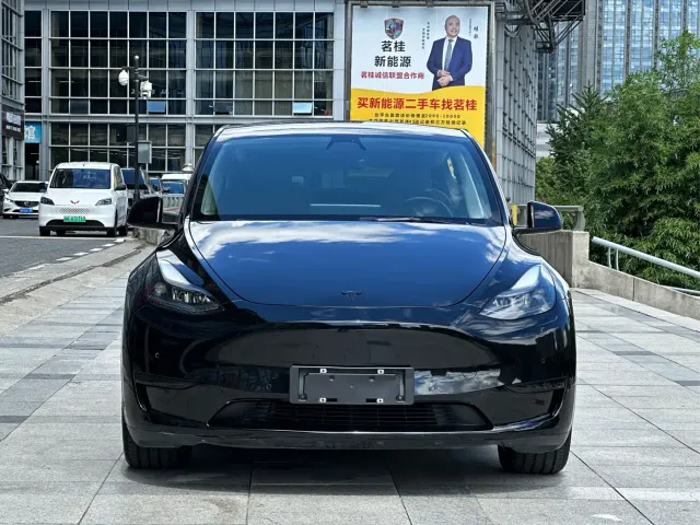 Tesla Model Y — Фото автомобиля 2