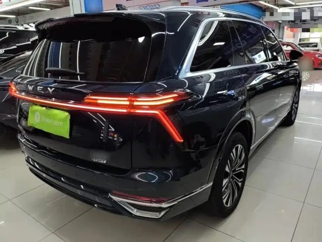 Wey Lanshan — Фото автомобиля 6