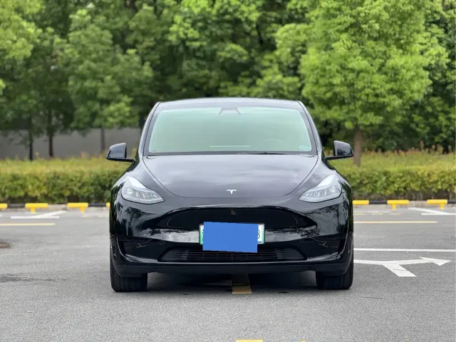 Tesla Model Y — Фото автомобиля 2