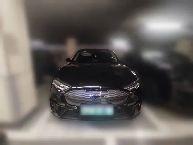 Ford Mustang Mach-E — Фото автомобиля 22