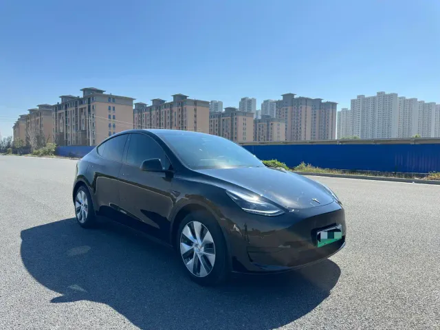 Tesla Model Y — Фото автомобиля 3