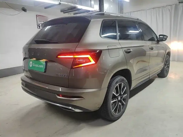 Skoda Karoq — Фото автомобиля 6