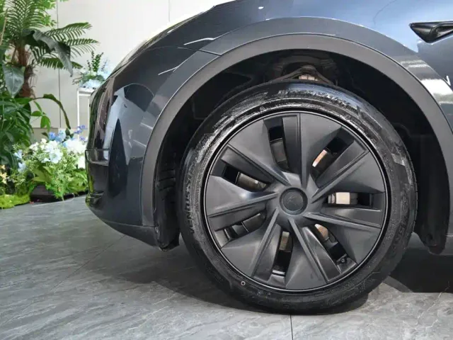Tesla Model Y — Фото автомобиля 22