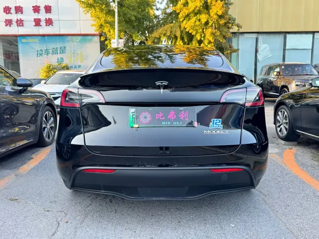 Tesla Model Y — Фото автомобиля 8
