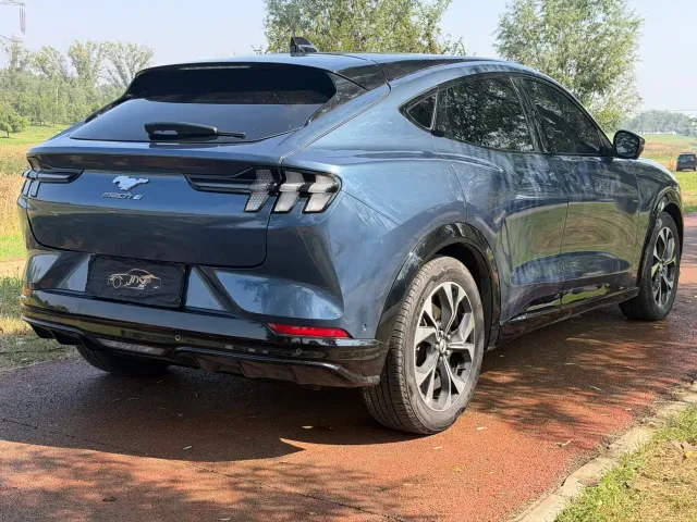 Ford Mustang Mach-E — Фото автомобиля 9