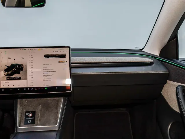 Tesla Model Y — Фото автомобиля 28