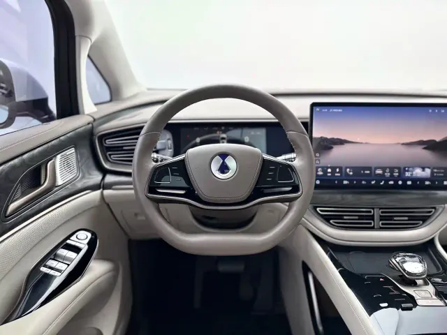Denza D9 — Фото автомобиля 10