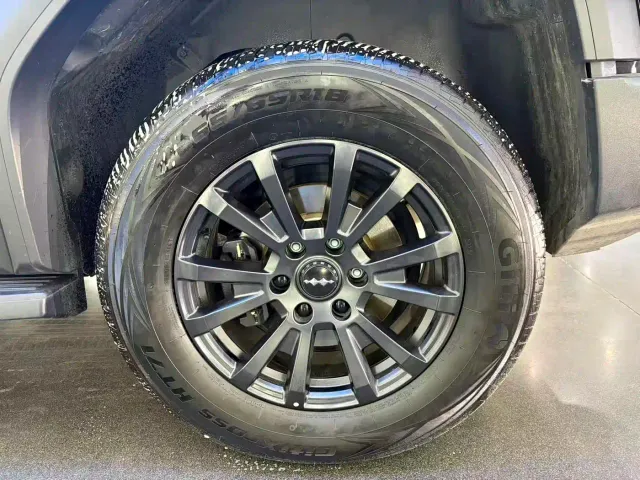 BYD FangChengBao Leopard 5 — Фото автомобиля 16