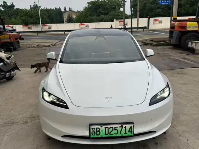 Tesla Model 3 — Фото автомобиля 2
